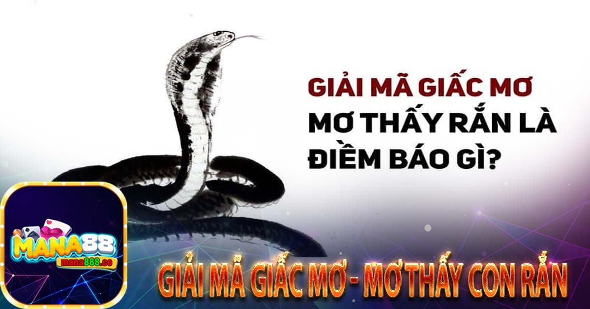 Giải mã giấc mơ - Mơ thấy con rắn